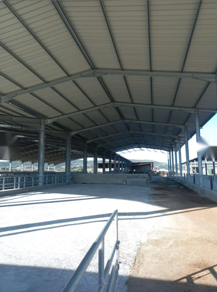 Pavilhão pecuário